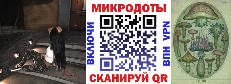 закладка  блэк спрут ссылки  Галлюциногенные грибы прущие грибы  Осташков 